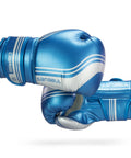Blue/Silver