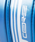 Blue/Silver